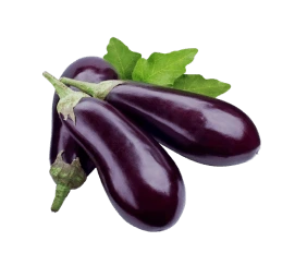 eggplant