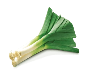 leek